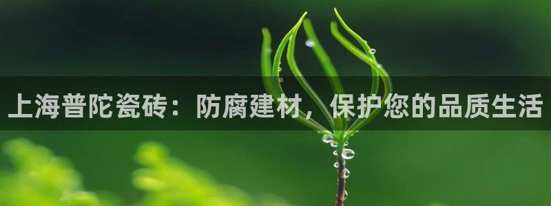 杏鑫娱乐官方网站客户端