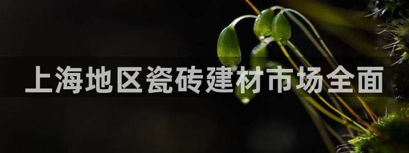 杏鑫手机客户端