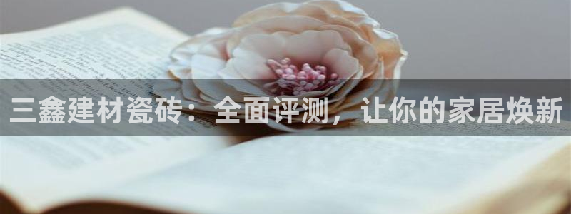 杏鑫平台代理怎么做