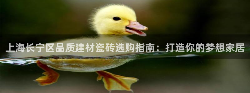 杏鑫平台代理注册流程及费用