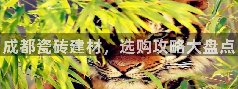 杏鑫平台是黑平台吗知乎