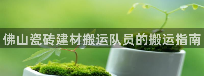 杏鑫官网最新信息新闻