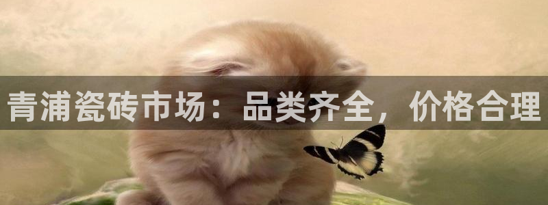 杏鑫平台怎么样黑钱吗安全吗是真的吗