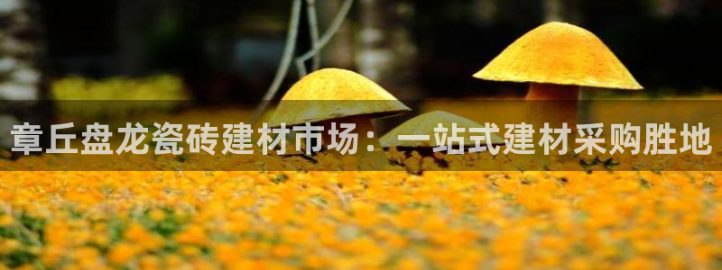 杏鑫平台代理注册多少钱一个