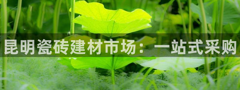 杏鑫平台代理注册多少钱一年