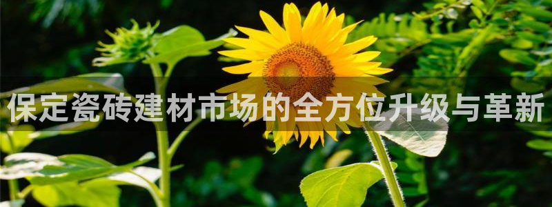 杏鑫娱乐是合法的吗?