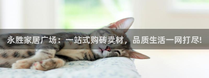 杏鑫平台念7O777