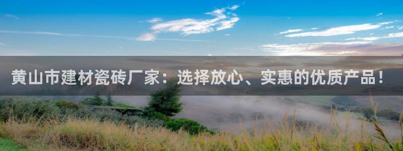 杏鑫平台代理注册流程