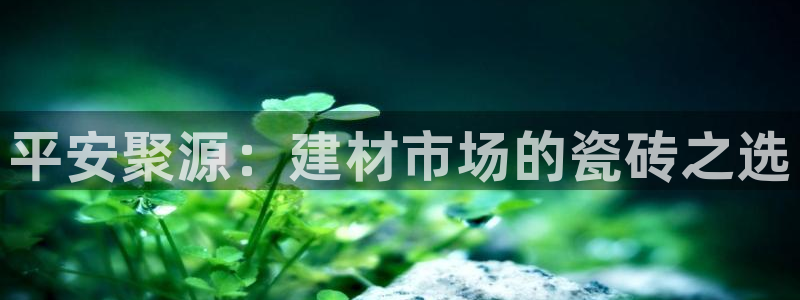 杏鑫平台正规吗可信吗