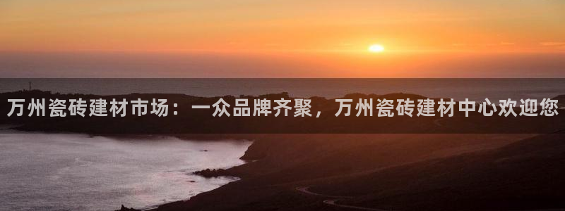 杏鑫平台招商电话