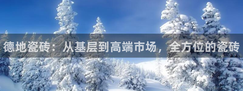 杏鑫平台注册网址查询