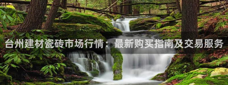 杏鑫平台怎么样黑钱吗安全吗是真的吗