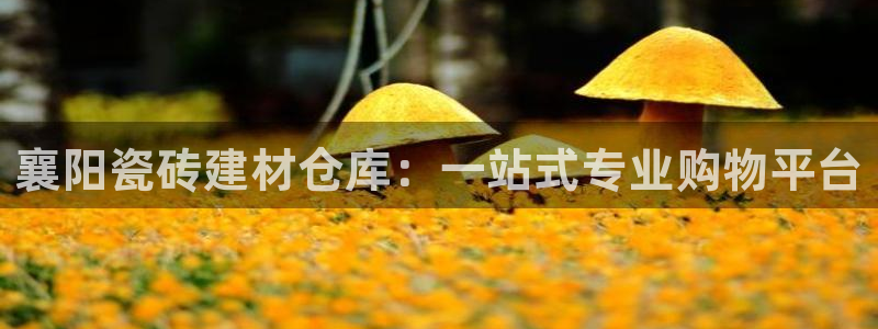 杏鑫娱乐平台测速怎么样