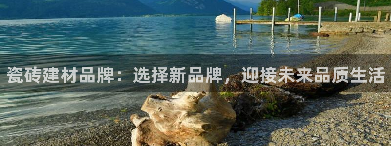 杏鑫平台代理注册登录不了怎么办呀视频