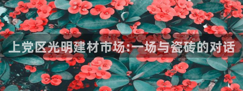 杏鑫注册平台官方网站是什么