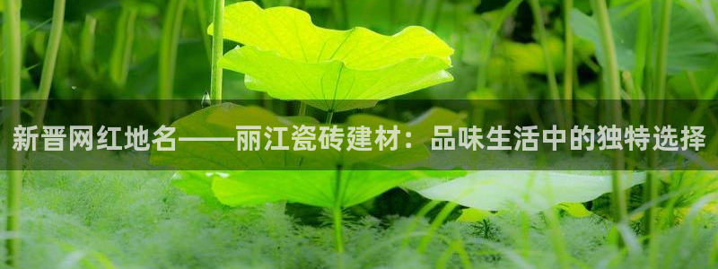 杏鑫平台注册入口在哪