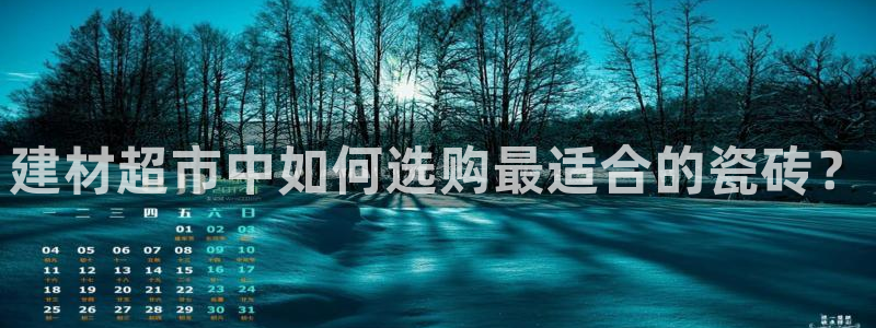 杏鑫平台代理怎么样