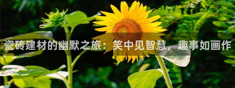 杏鑫平台线路测速