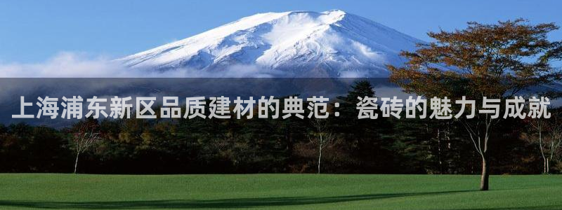 杏鑫平台正规吗是真的吗