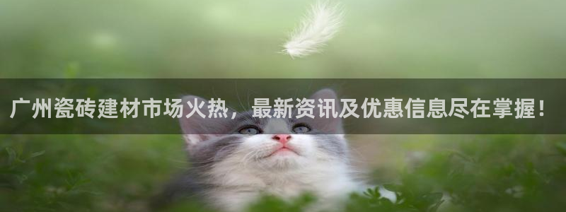 杏鑫平台代理注册流程