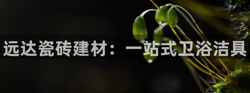 杏鑫平台念7O777