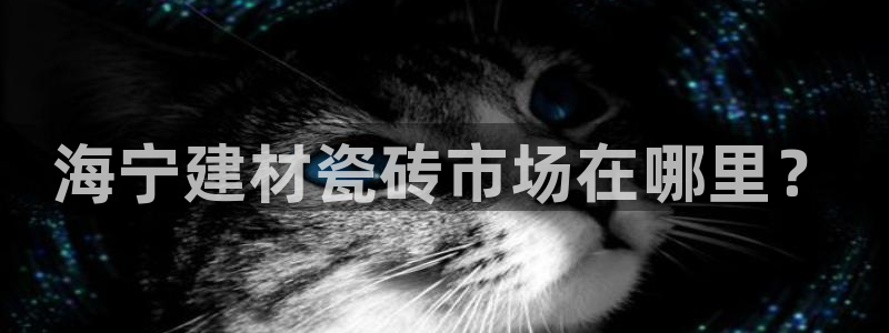 杏鑫平台登录地址