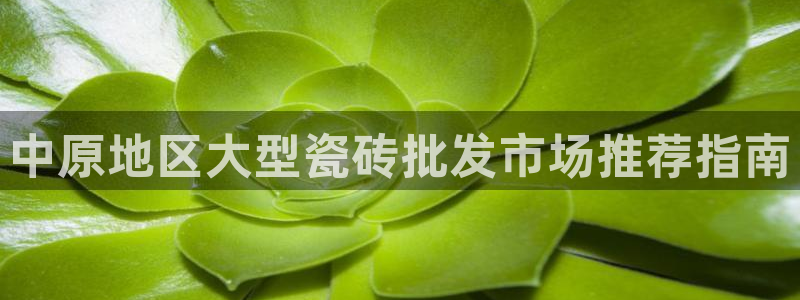 杏鑫平台代理怎么做