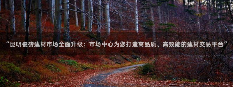 杏鑫平台代理注册登录不了怎么办呀视频