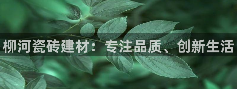 杏鑫娱乐官方网站客户端下载