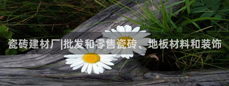 杏鑫平台代理注册流程及费用