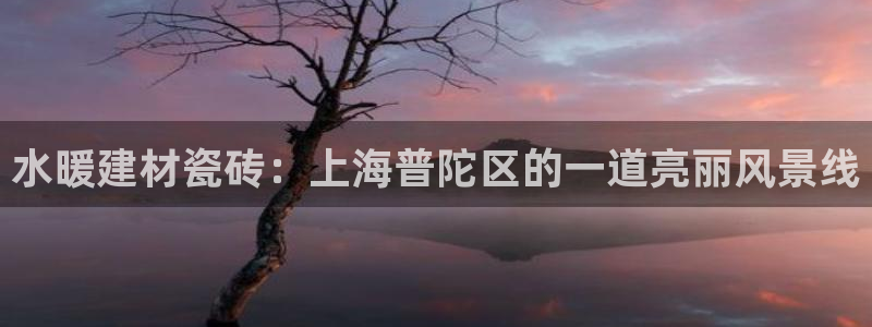 杏鑫平台代理怎么做的