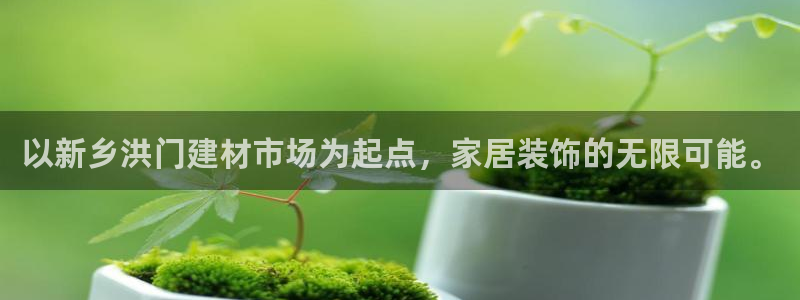 杏鑫代理注册资金多少