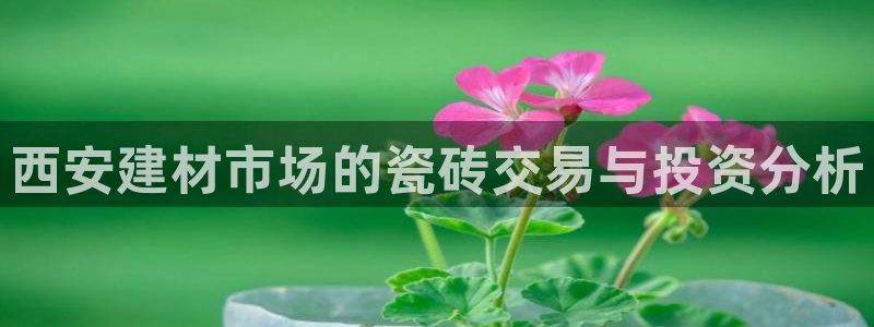 杏鑫娱乐多少年了