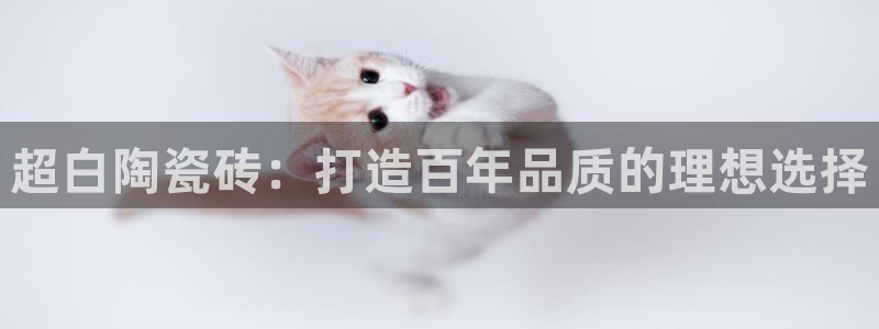 杏鑫娱乐官网首页