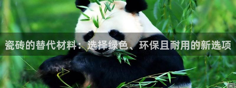 杏鑫平台在线注册