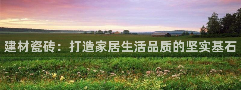 杏鑫平台代理注册多少钱一年