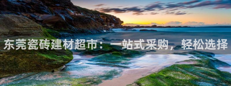 杏鑫平台登录注册