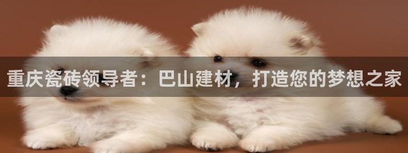 杏鑫平台线路测速