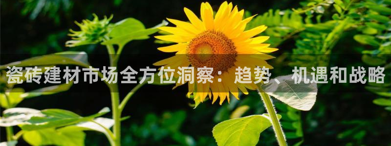 杏鑫平台代理怎么做赚钱